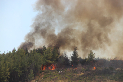 Buca’daki orman yangınında ihmalkâr kaynak: 2 işçi gözaltında