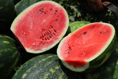 Doğan: "Belediyeler alıp halka dağıtsın"