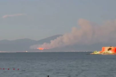 Dörtyol’daki orman yangını Adana'nın Yumurtalık ilçesinde görülmeye başlandı