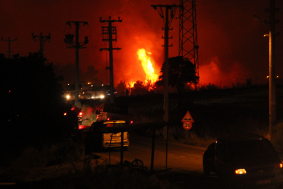 İzmir Buca'da orman yangını: 2 şüpheli gözaltına alındı