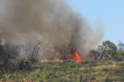 İzmir'de evini kundaklayıp ormanı yakan şahıs tutuklandı