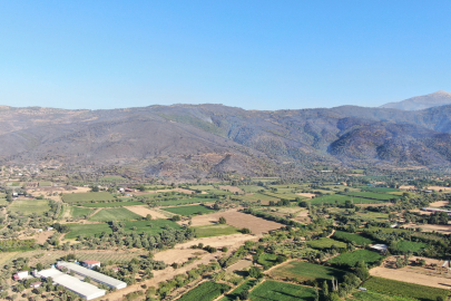 İzmir Ödemiş Tosunlar’daki orman yangını 3. gününde: Yüzlerce dekar kül oldu