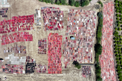 Mabel Matiz klibi değil! Antalya halı tarlası