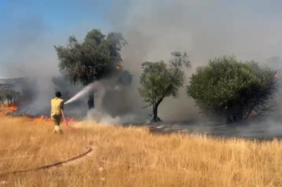 Milas’ta makilik ve zeytinlik alanda çıkan yangın kontrol altına alındı