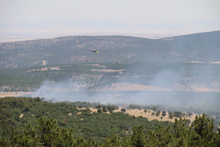 eskişehir orman yangını