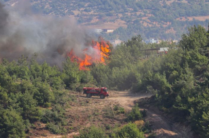 Hatay’da orman yangını: Ekipler bölgeye sevk edildi, müdahale sürüyor