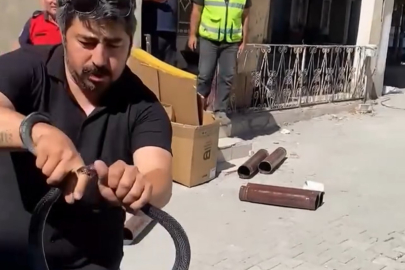 Hatay'da “Yılancı Kemal” yılana parmağını kaptırdı, soğukkanlılığıyla dikkat çekti