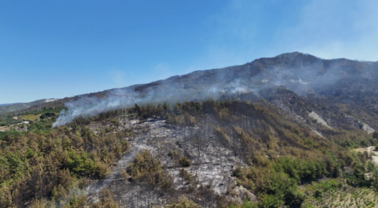 Hatay Dörtyol’daki orman yangını havadan görüntülendi 2