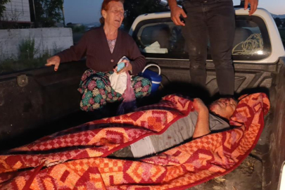 Antalya’da kaçan aslan fıstık tarlasında uyuyan çiftçiye saldırdı