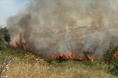 Büyükçekmece'de otluk alanda yangın! Alevler rüzgarla büyüdü