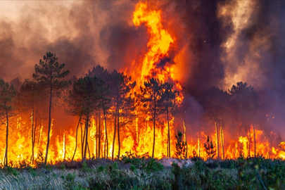 Türkiye’de 10 günde 761 yangın kontrol altına alındı