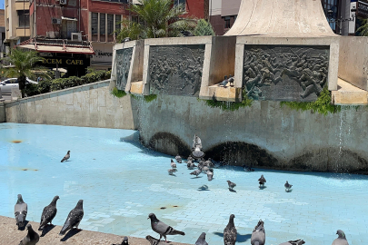 Adana'nın kavurucu sıcaklarında kuşlar süs havuzlarında serinliyor
