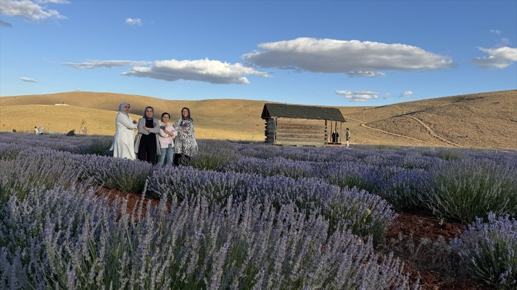 Sabundan kolonyaya, hediyelikten toniğe lavanta ürünleri