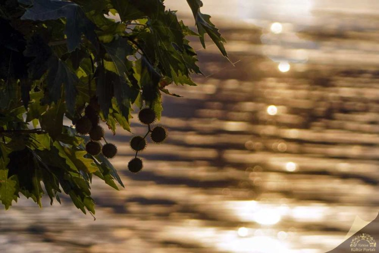 GÜN BATIMINDA RENK DEĞİŞTİREN GÖL