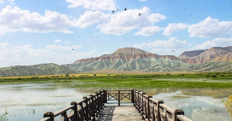 Nallıhan Kuş Cenneti