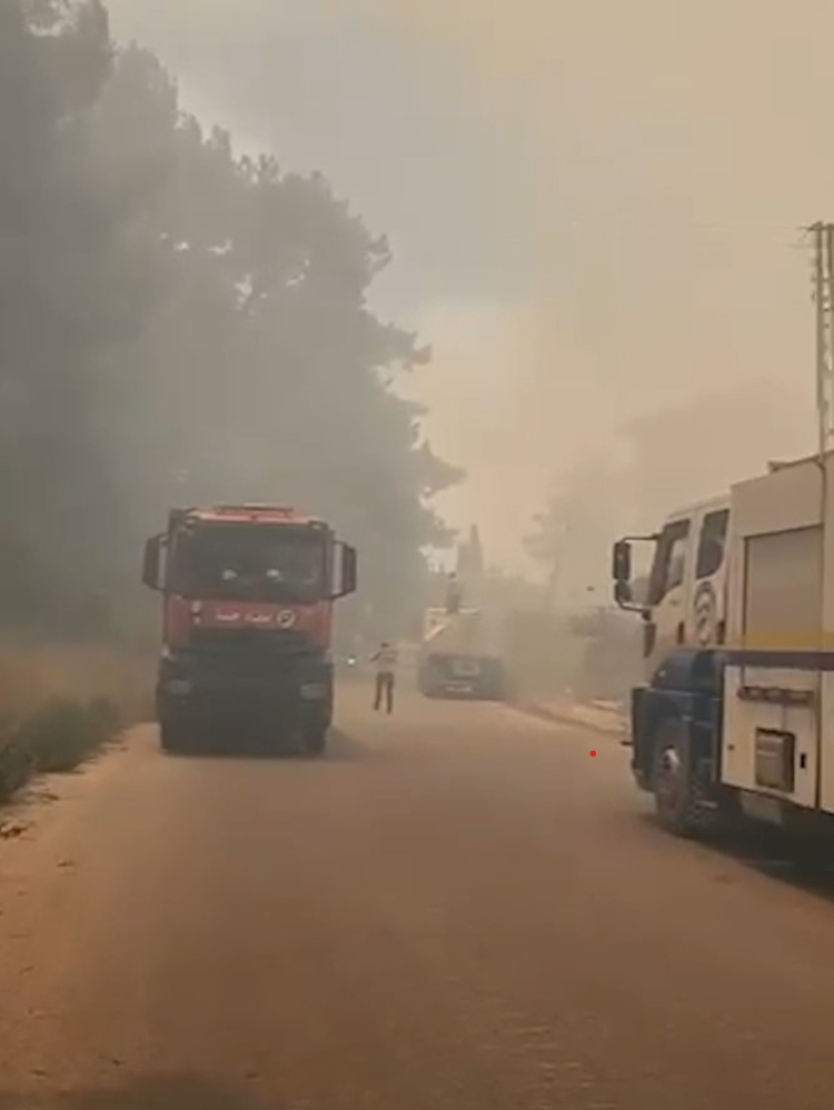 Orman Genel Müdürlüğü