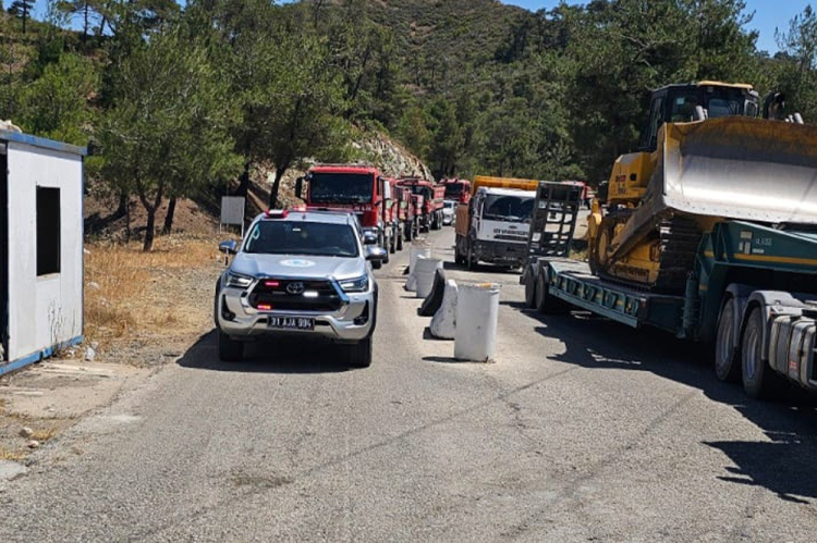 Orman Genel Müdürlüğü