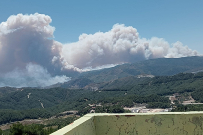 Suriye’deki orman yangını Hatay sınırına dayandı! Ekipler teyakkuzda