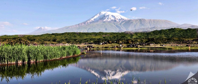 APOLLO KELEBEĞİNDEN SÜPHAN KERTENKELESİNE EŞSİZ BİR DOĞA