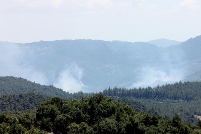 Suriye orman yangınlarıyla boğuşuyor: 14 bin hektar kül oldu!