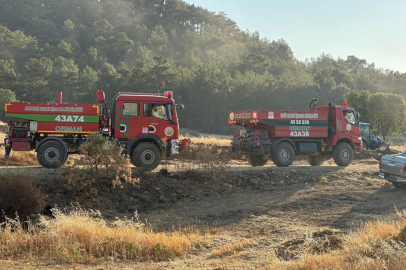 Uşak’taki orman yangınıyla ilgili 2 kişi gözaltına alındı