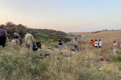Hatay'da çevre felaketi: Fabrika atık suyundan içen hayvanlar telef oldu