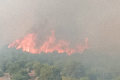 Bursa-Balıkesir arasında büyüyen yangın nedeniyle köy tahliye edildi