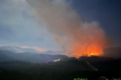 Hatay Yayladağı’nda dev yangın mücadelesi: 734 personel ve hava araçlarıyla müdahale sürüyor