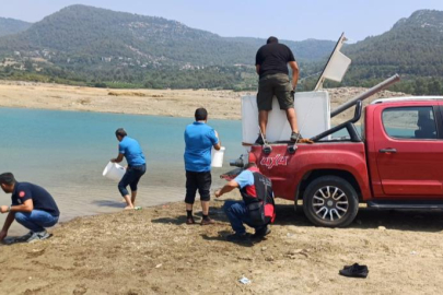 Kilgen Barajı’na 321 bin sazan yavrusu bırakıldı