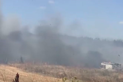 Pendik Aydos Ormanı’nda yangın: Hava destekli müdahale sürüyor