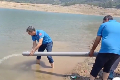 321 Bin yavru sazan Kilgen Barajı’na salındı