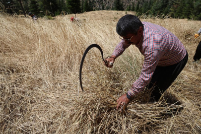 Feke’de asırlık hasat geleneği sürüyor