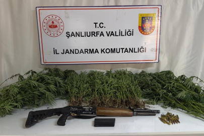 Siverek, Viranşehir ve Haliliye’de uyuşturucu operasyonu