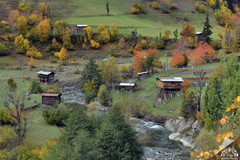 Papart Yaylaları ve Vadisi: Artvin’in sınırdaki saklı cenneti