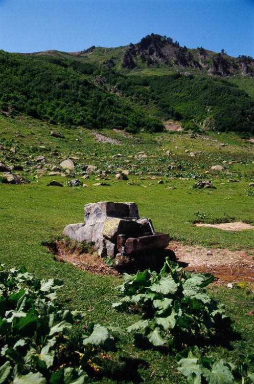 BİYOLOJİK ÇEŞİTLİLİĞİN BAŞKENTİ: 70 ENDEMİK BİTKİ TÜRÜ BİR ARADA