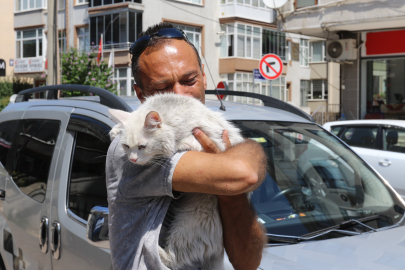 Kocaeli’de kayıp sağır Ankara kedisi “Pars” günler sonra bulundu, sahibi sevinçten ağladı