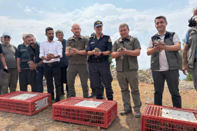 Adana'da doğaya 500 keklik salındı