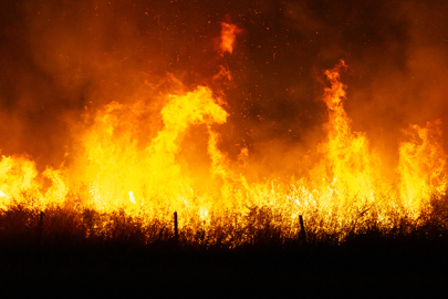 Tekirdağ ve Çanakkale'deki orman yangınlarına müdahale ediliyor