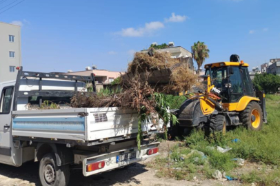 Akdeniz'de moloz ve yabani ot temizliği sürüyor