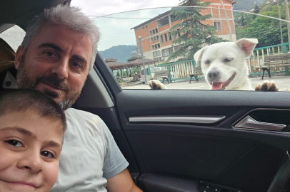 Pitbull görünümlü sokak köpeği esnafla kurduğu bağla sosyal medyada viral oldu