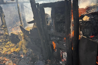 Yaprak pişirilirken çıkan yangın ahıra sıçradı, 7 büyükbaş hayvan telef oldu
