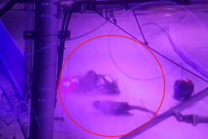 Antalya’da 14 yaşındaki ehliyetsiz motosikletçi tramvay durağına çarptı