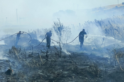 Balıkesir’de otluk alanda yangın çıktı, itfaiye müdahale etti