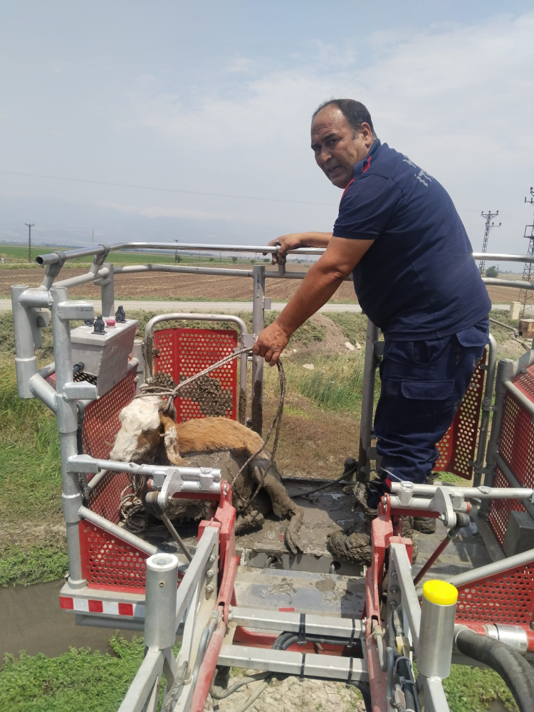 Hatay'da çamura saplanan koyunun imdadına itfaiye yetişti 3