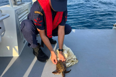 Nesli tehlike altındaki yeşil deniz kaplumbağası Manavgat’ta Sahil Güvenlik tarafından kurtarıldı