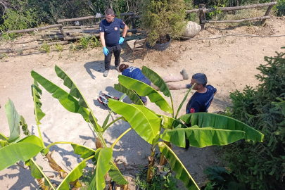 Peyzaj Bahçesinde feci kaza: İşçi panelvanın altında kaldı