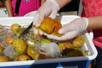 Adana’da sıcaktan bunalanlar, dikenli incire koşuyor