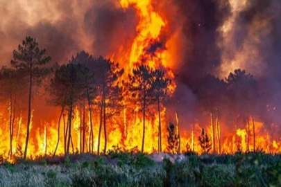 Bakan İbrahim Yumaklı’dan orman yangını uyarısı: “Risk en üst seviyede”