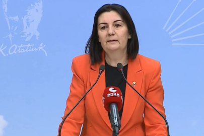 CHP eski Bursa Milletvekili Lale Karabıyık hayatını kaybetti