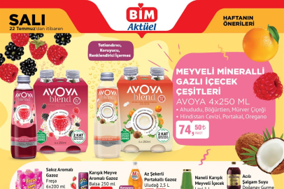 BİM 22 Temmuz 2025 Salı aktüel ürünler kataloğu yayımlandı: İşte raflara girecek yeni ürünler